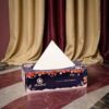 Dhadhis facial tissue supple